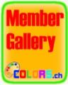 Member Gallery